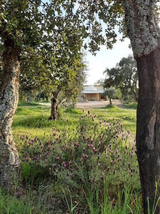Villa Quinta Terramadome: Dome Incomum & Responsavel Penamacor Exterior foto